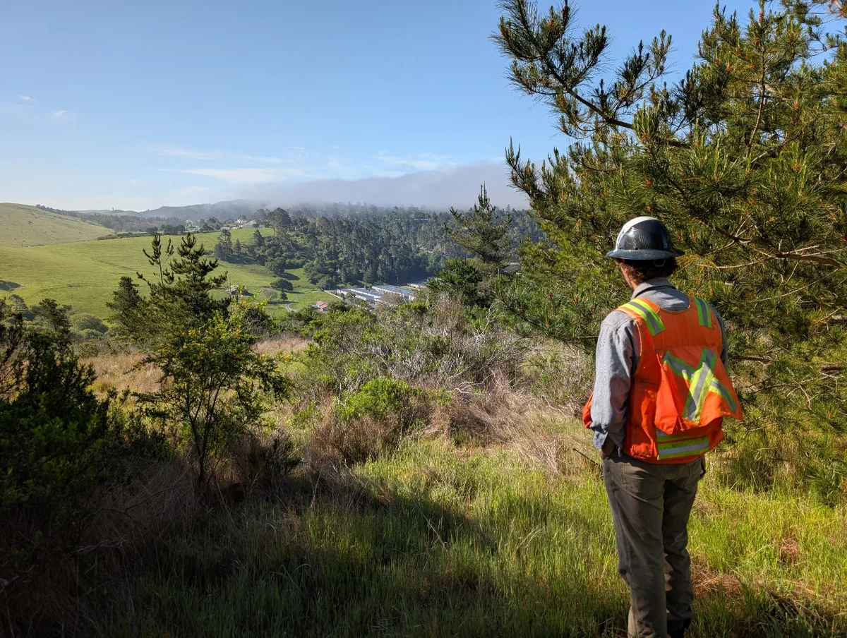 SLO MPRP planning team surveying treatment areas above Cambria